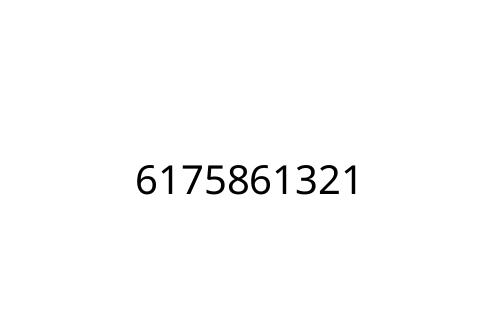 6175861321
