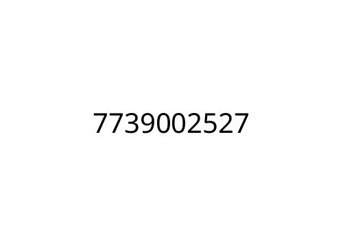 7739002527