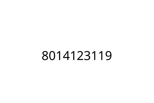 8014123119