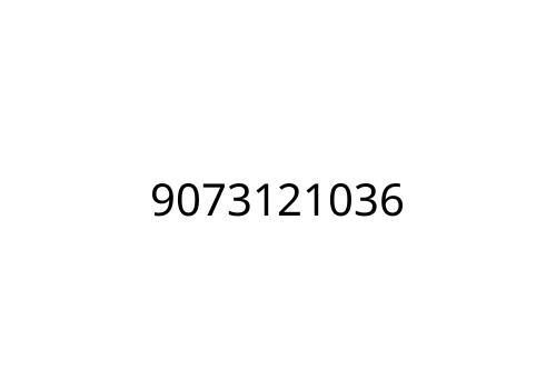 9073121036
