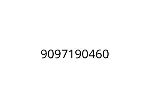 9097190460