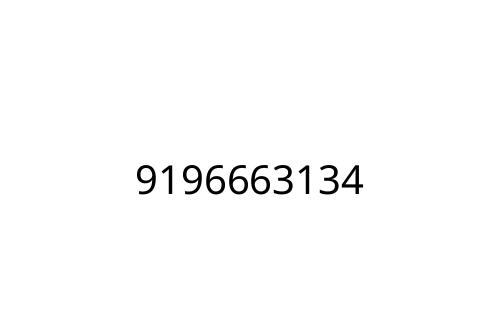 9196663134