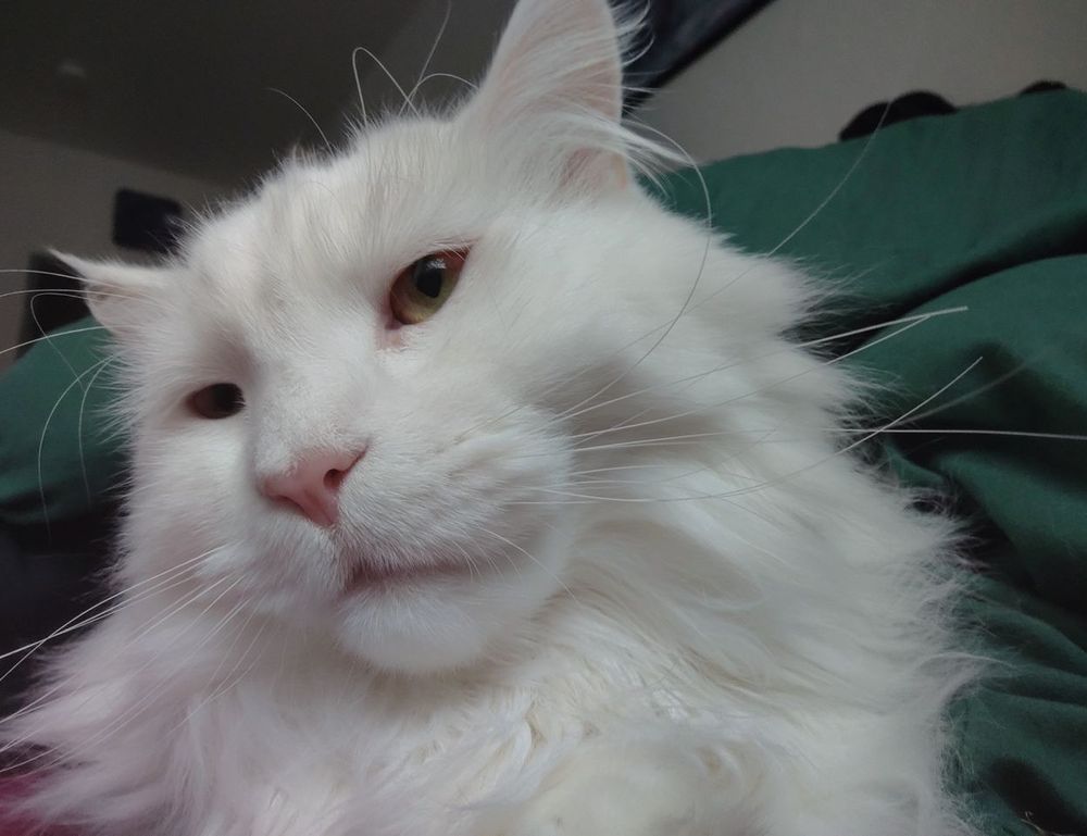 antivirus freedoor2.4.6.8