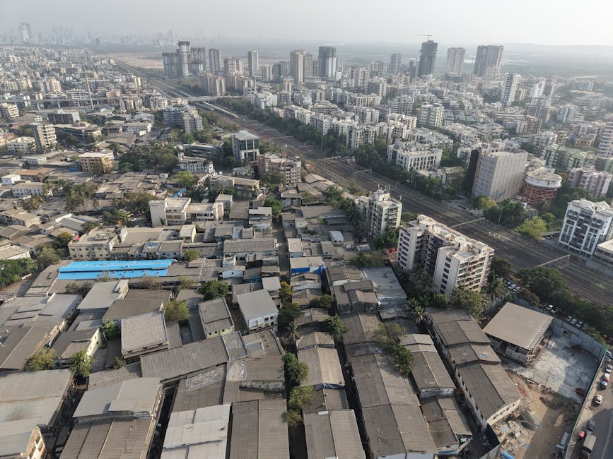 introductory overview