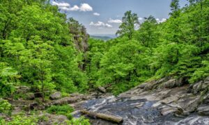 practice basketball system zuyomernon