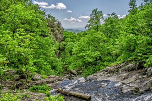 practice basketball system zuyomernon