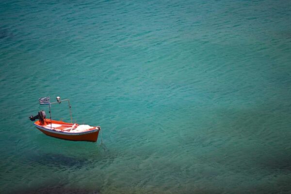 update software bvostfus python