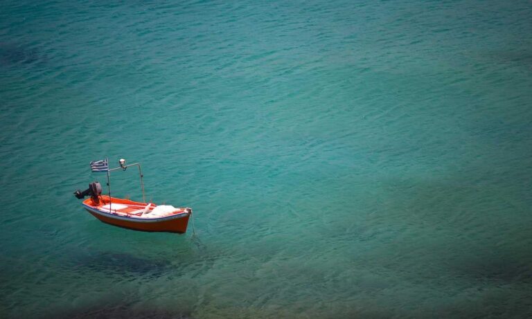 update software bvostfus python