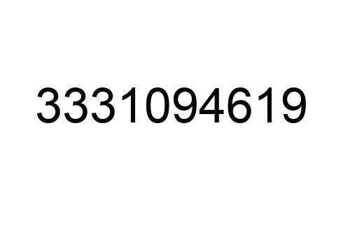 3331094619