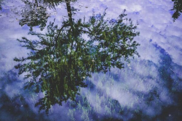 clear stuff that comes out of pimples