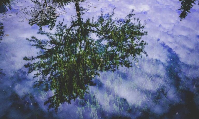 clear stuff that comes out of pimples