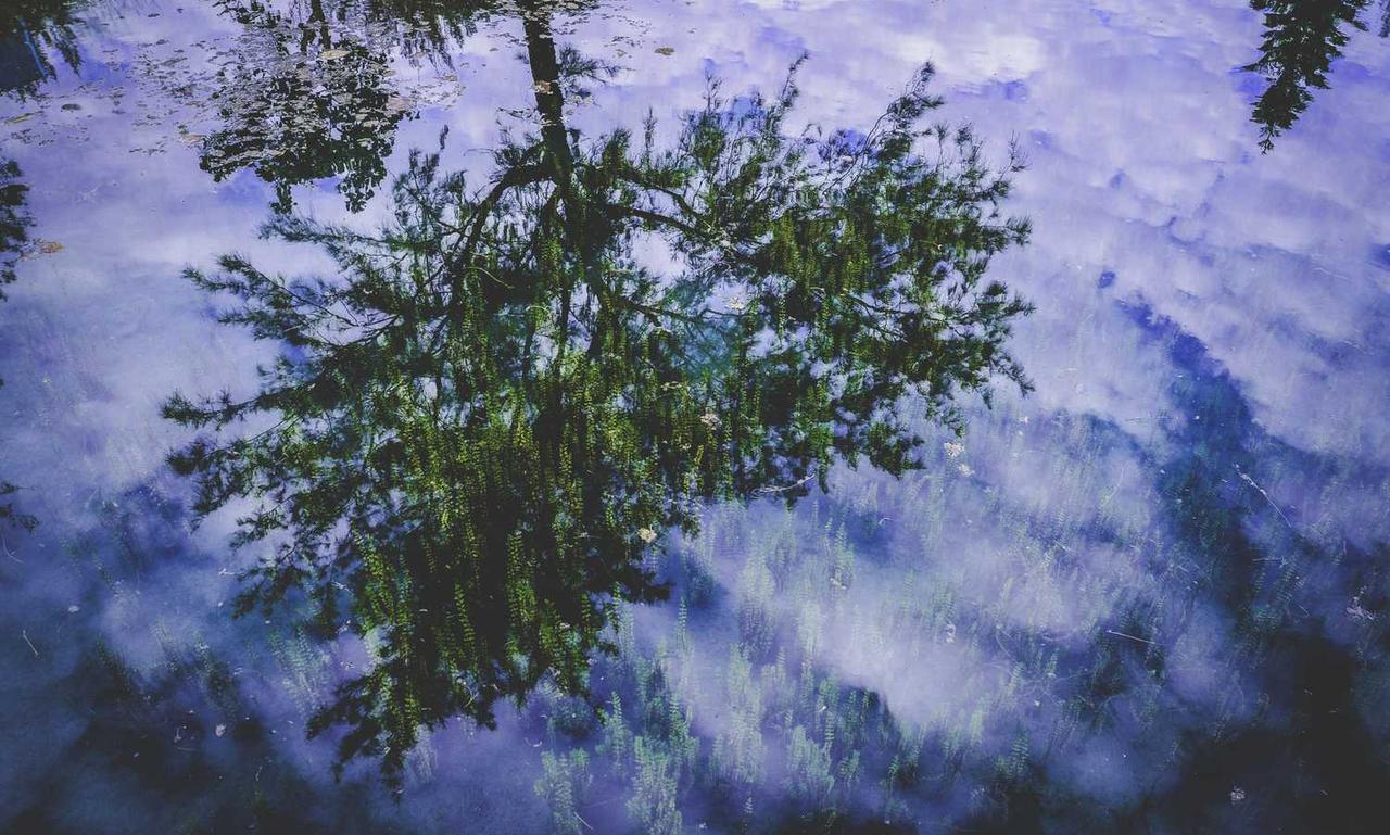 clear stuff that comes out of pimples