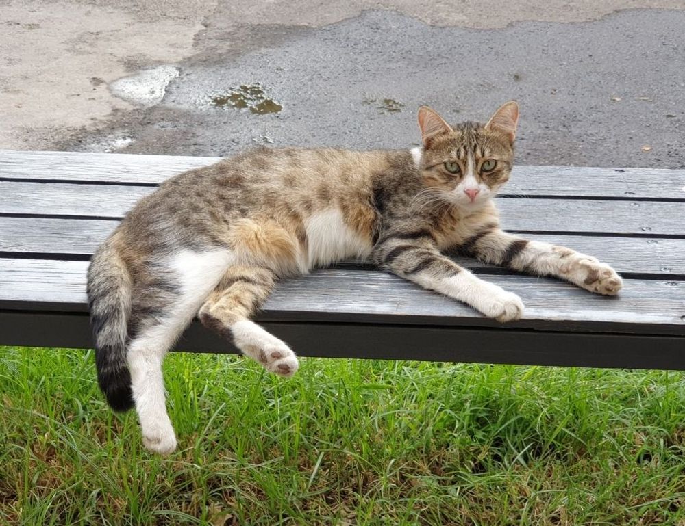 colleen hoover books best to worst