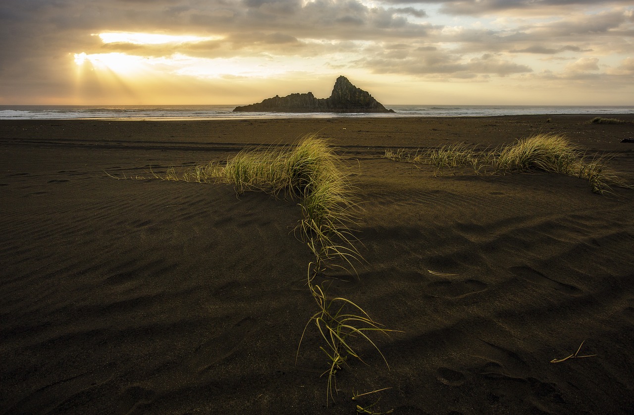 colleen hoover books rated in order