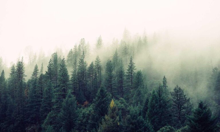 companies often merge to ______ monopoly power.