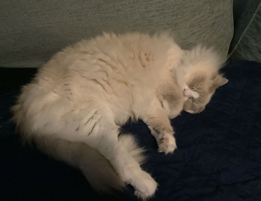 craigslist salem oregon cars by owner