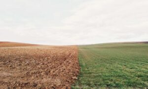 credit score needed for sweetwater card