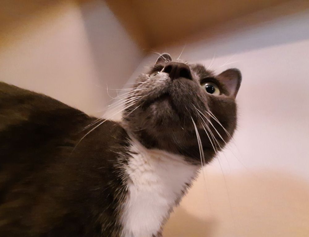 dermarolling at home before and after