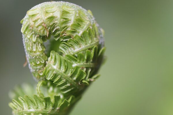 Latest Gaming Tips Thehakegeeks