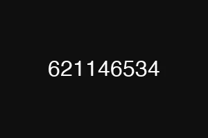 621146534
