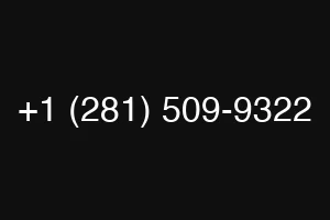 +1 (281) 509-9322