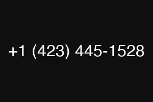 +1 (423) 445-1528