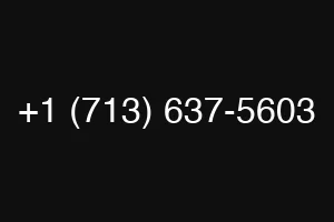 +1 (713) 637-5603