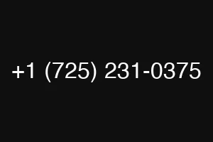 +1 (725) 231-0375