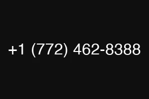 +1 (772) 462-8388