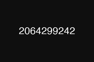 2064299242