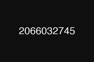 2066032745
