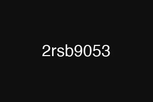 2rsb9053