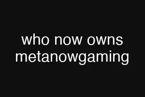 who now owns metanowgaming
